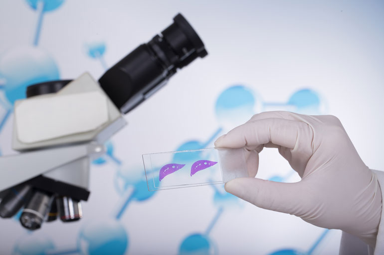 image of digital slides